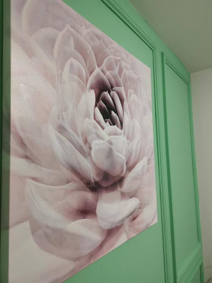 Mateja Apartment Novi Sad Dış mekan fotoğraf