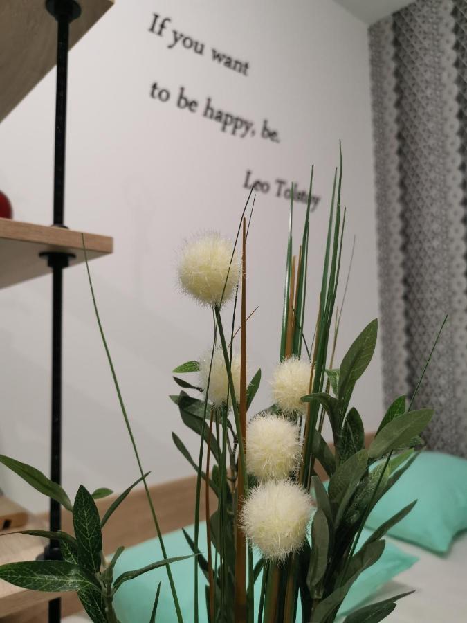 Mateja Apartment Novi Sad Dış mekan fotoğraf